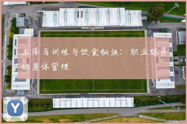 本泽马训练与饮食秘诀：职业球员的身体管理